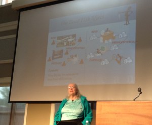 Mary's Efficiency Paradox